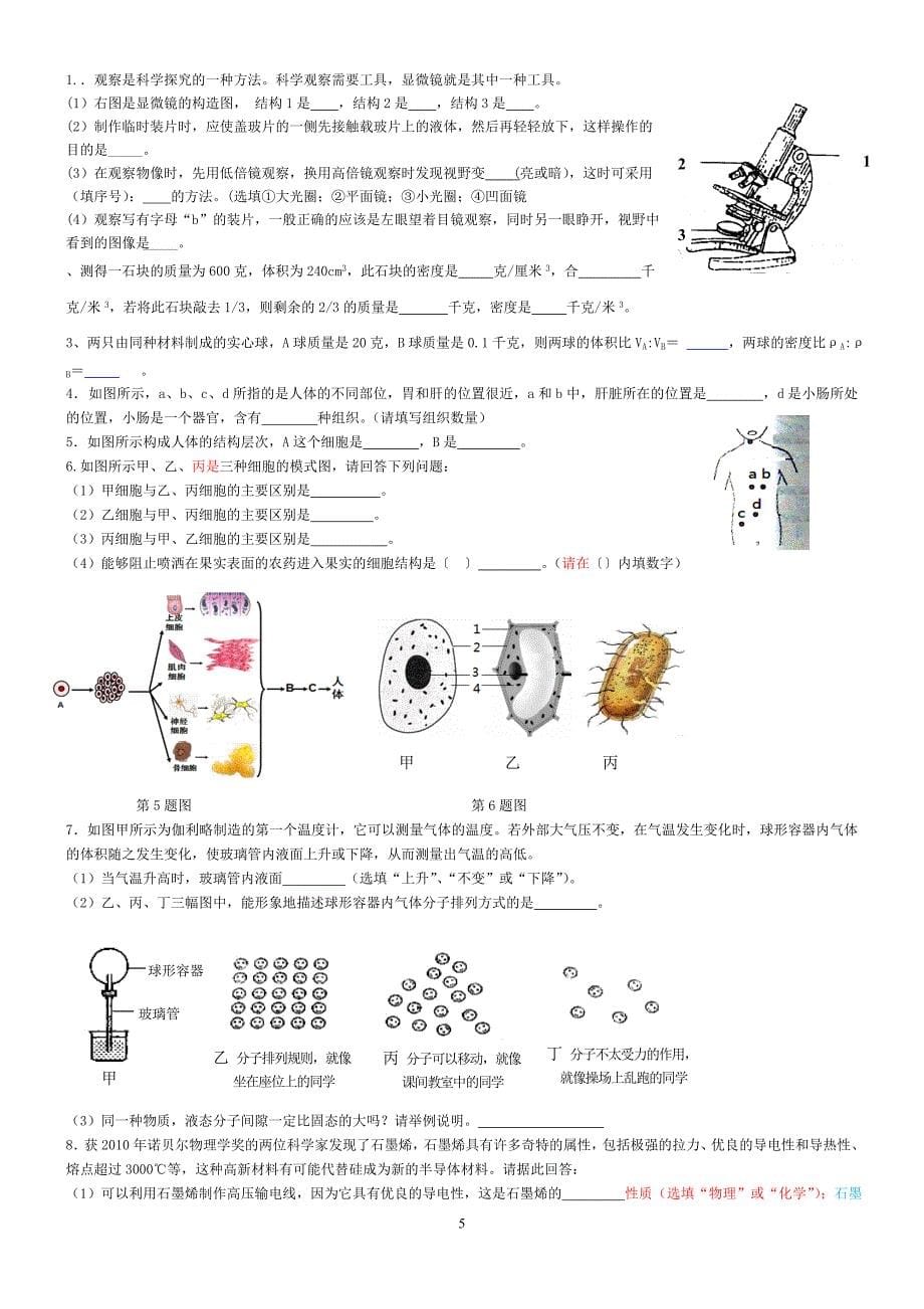 七上期末模拟_第5页