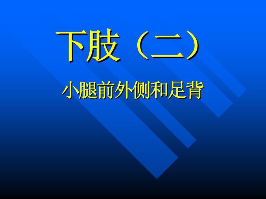 局部解剖学：下肢（二）_第1页