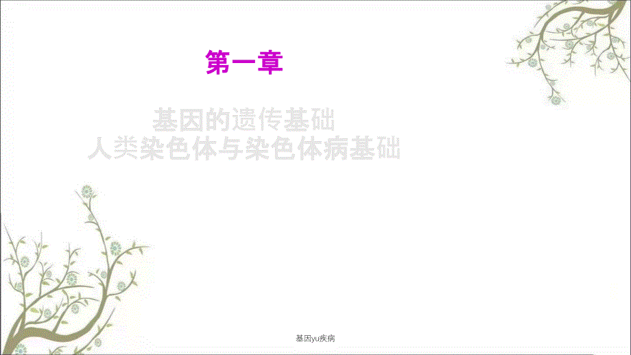 基因yu疾病课件_第3页