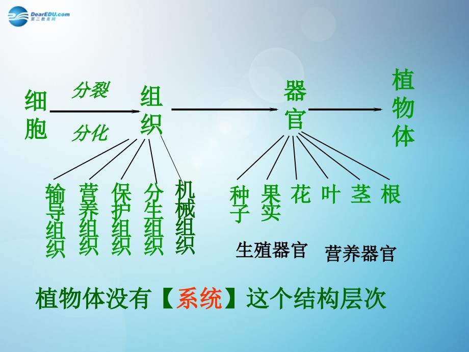 人教初中生物七上《第2单元 第2章 第4节 单细胞生物》PPT课件 (1)_第1页