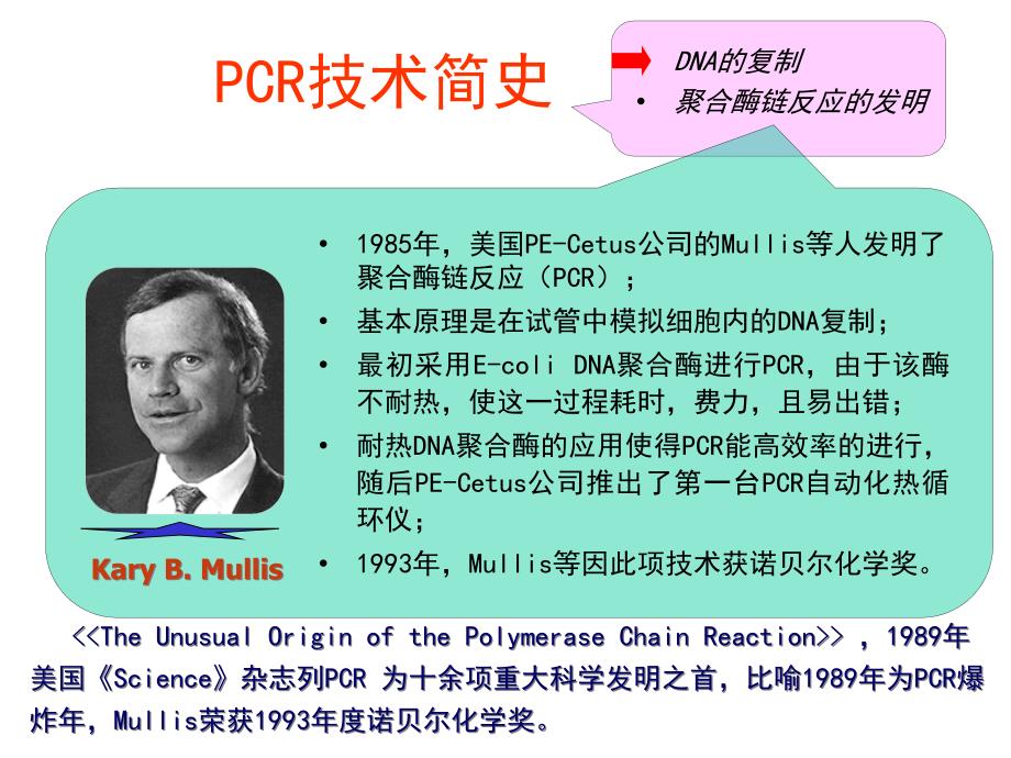 PCR技术及其应用_第3页