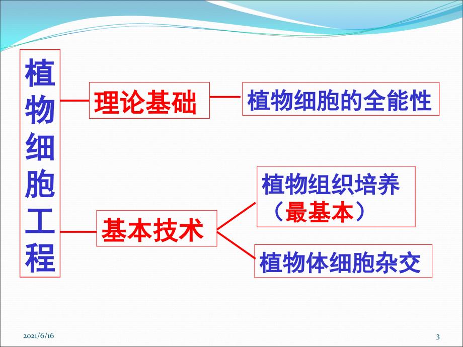 植物细胞工程的基本技术_第3页