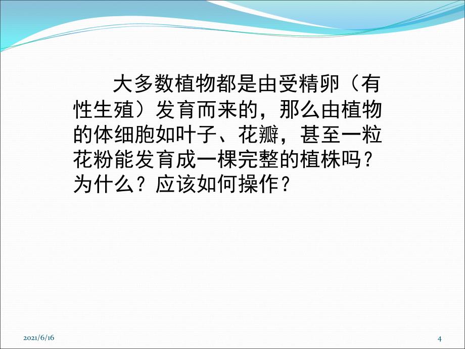 植物细胞工程的基本技术_第4页