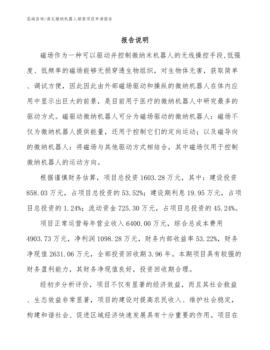 淮北微纳机器人销售项目申请报告（范文参考）_第1页