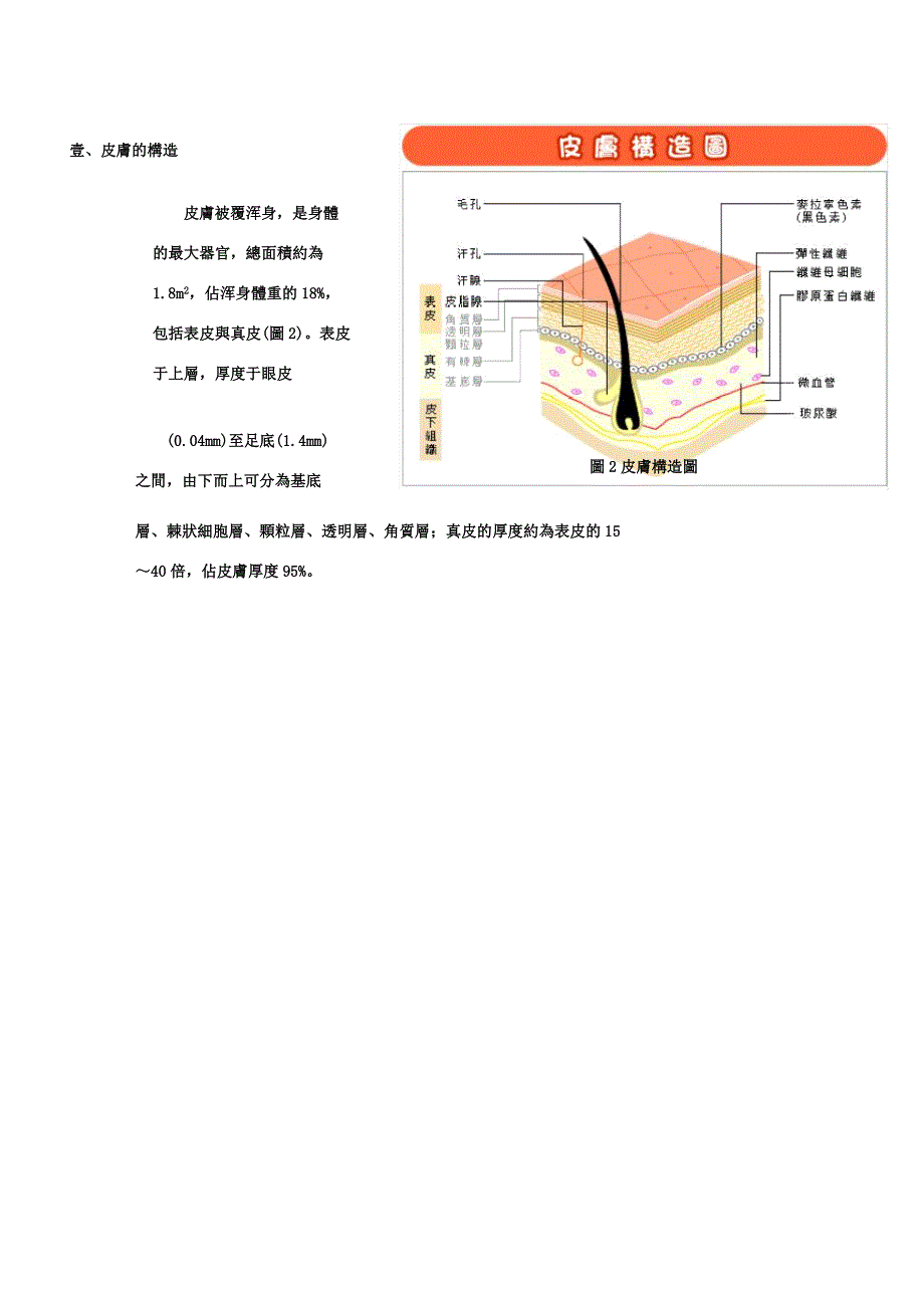 培训体系整形美容培训资料.docx_第3页