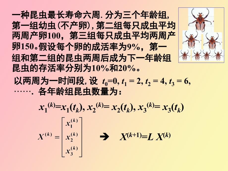 MATLAB数学实验实验四昆虫鳘殖_第3页