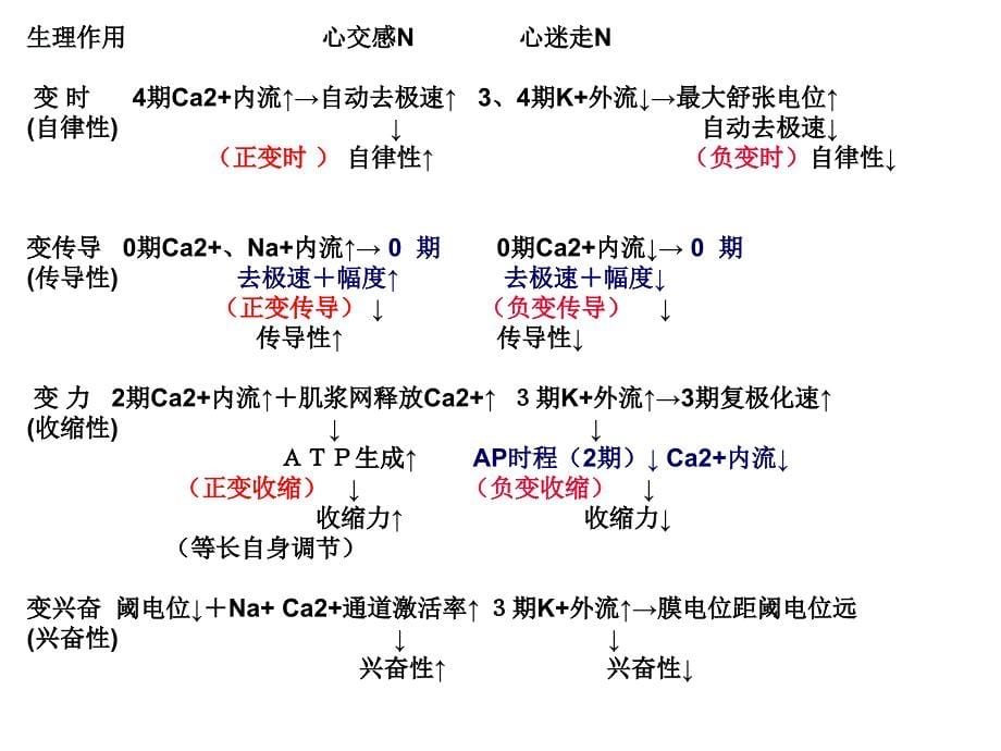 医学专题：心血管活动调节幻灯片_第5页