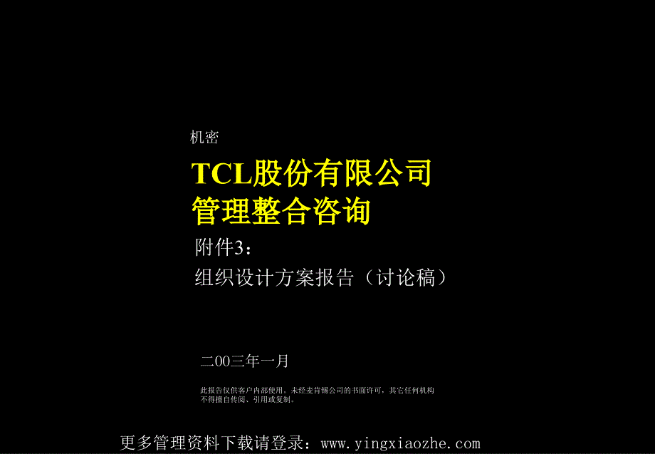 TCL股份有限公司管理整合咨询组织设计方案报告_第1页