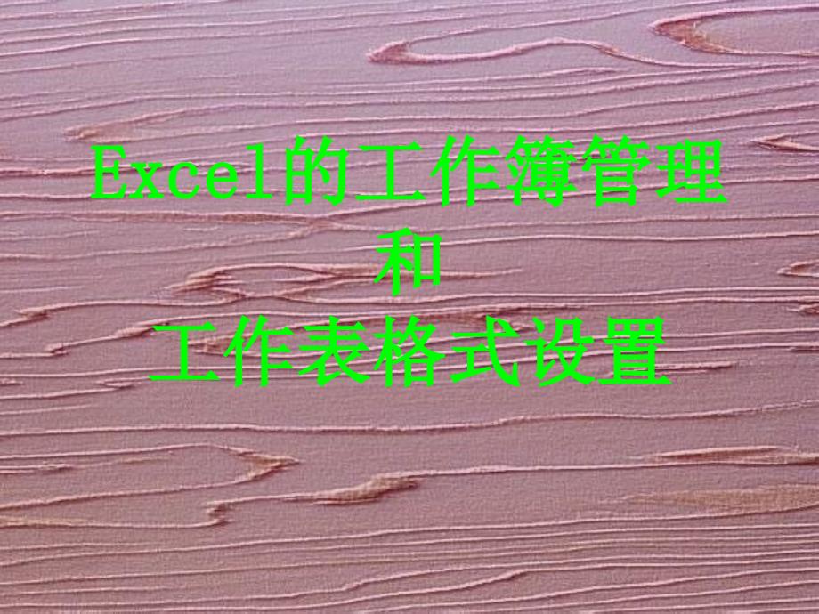 Excel的工作簿管理和工作表格式设置.ppt_第1页