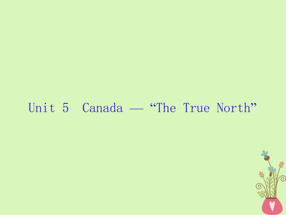 2019届高三英语一轮复习 Unit 5 Canada The True North课件 新人教版必修3_第1页