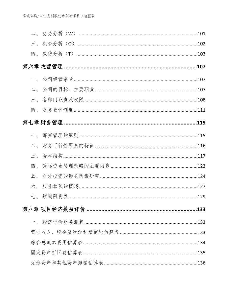 内江光刻胶技术创新项目申请报告_范文_第5页