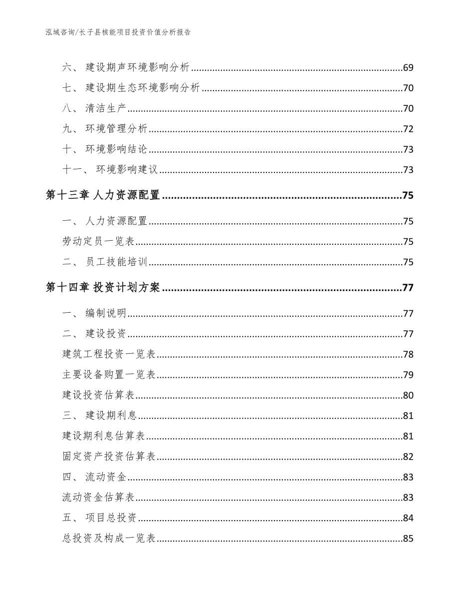 长子县核能项目投资价值分析报告模板范文_第5页