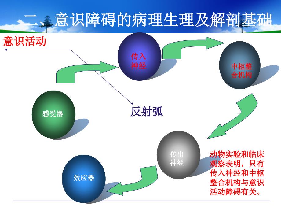 意识障碍的诊断、鉴别诊断及处理.ppt_第4页