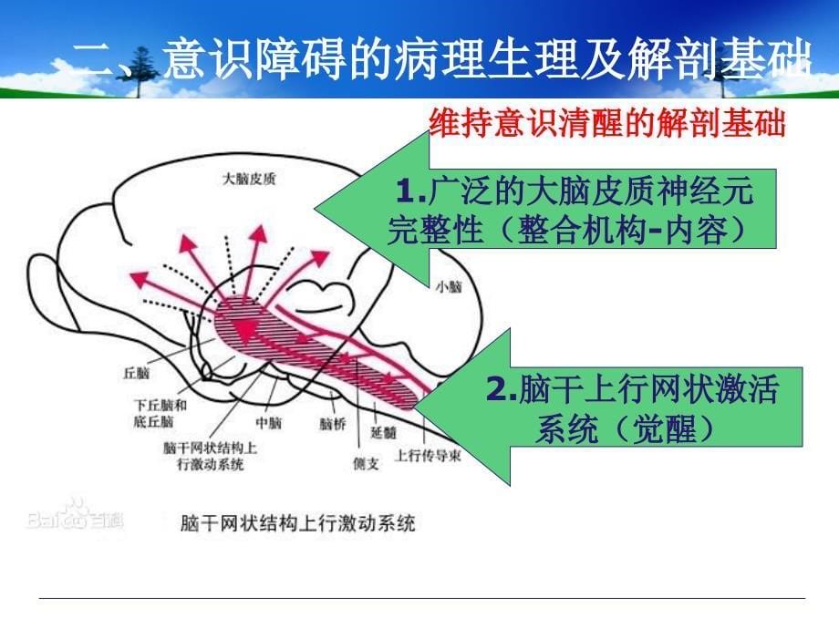 意识障碍的诊断、鉴别诊断及处理.ppt_第5页