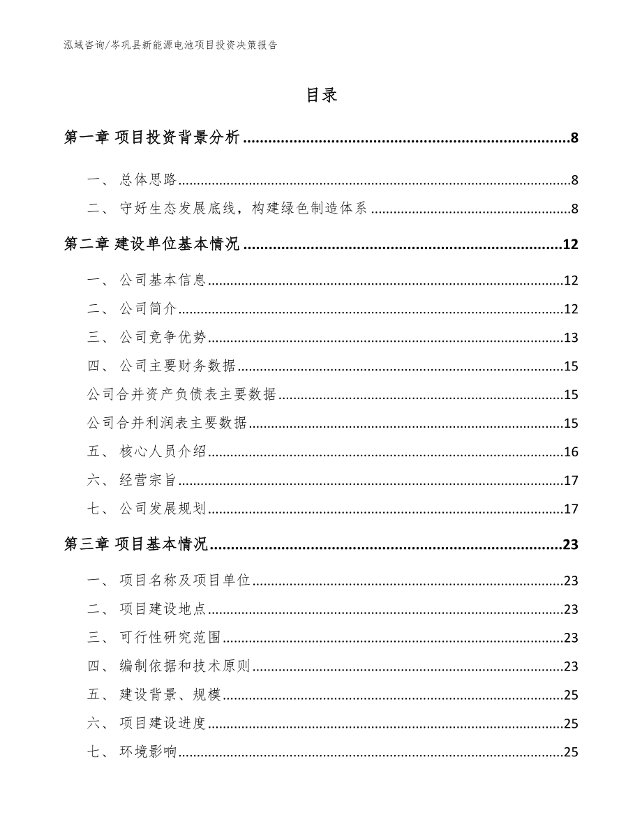 岑巩县新能源电池项目投资决策报告_第2页