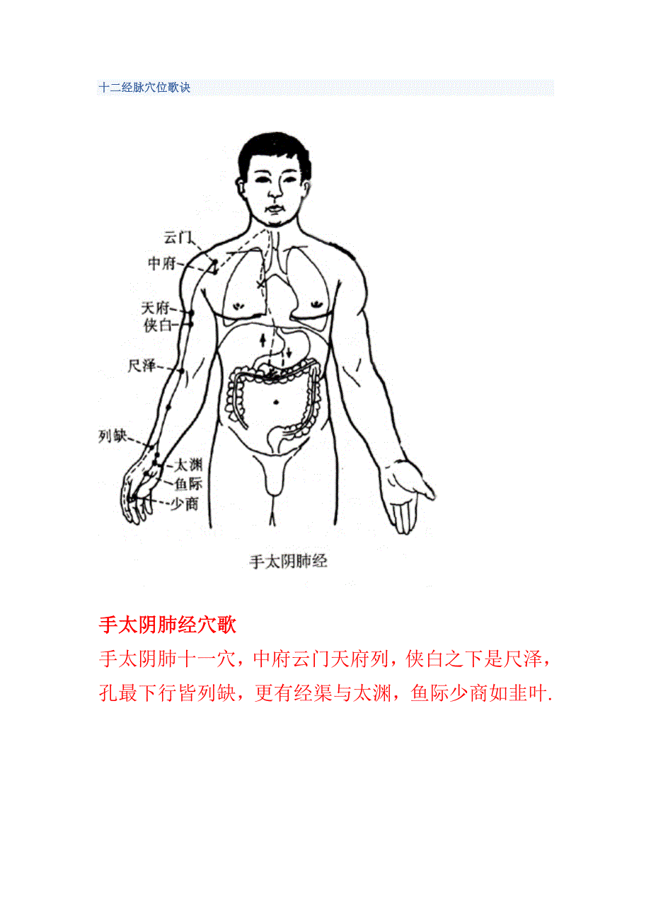 十二经脉穴位歌诀_第1页