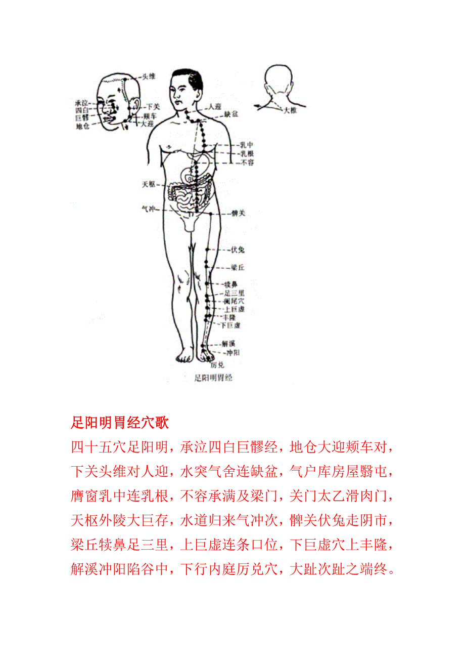 十二经脉穴位歌诀_第3页