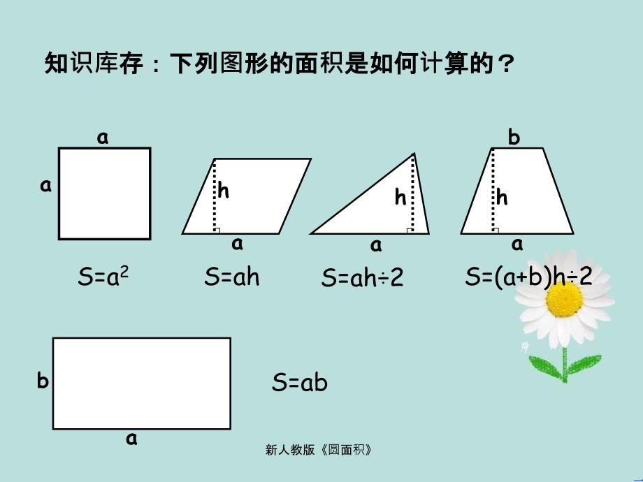 新人教版圆面积_第1页