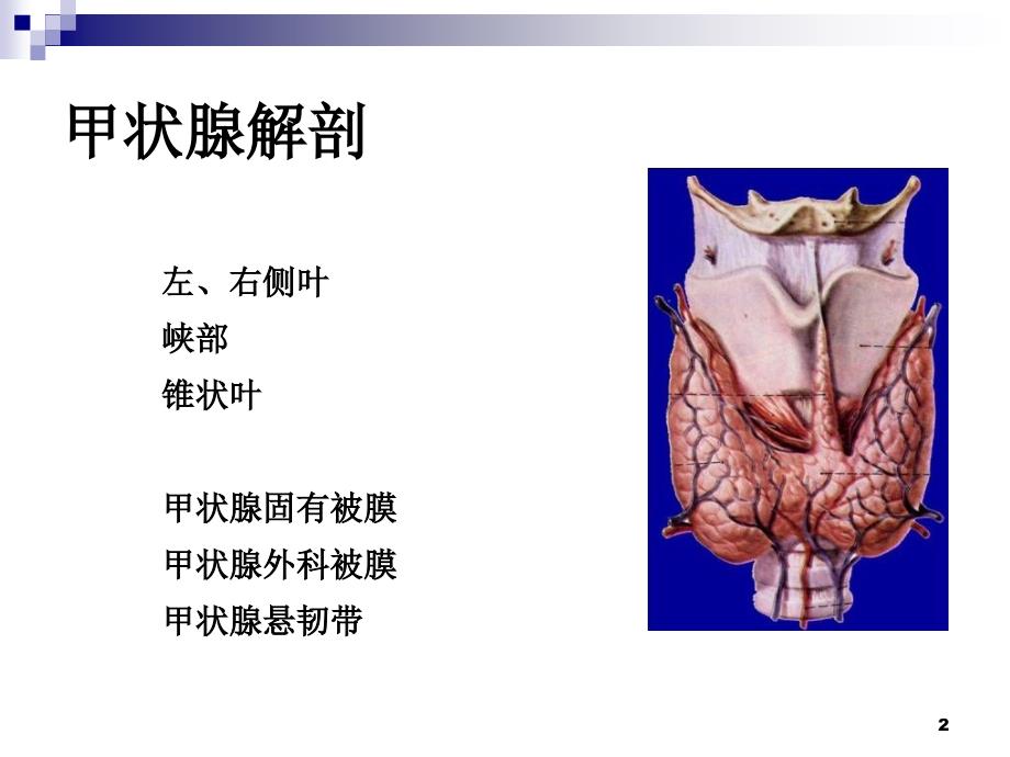 颈部疾病七年制_第2页