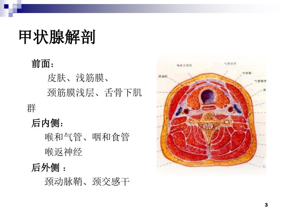 颈部疾病七年制_第3页