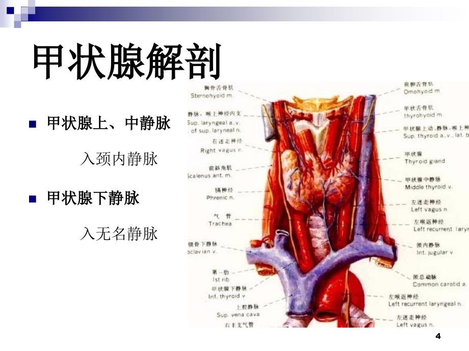 颈部疾病七年制_第4页