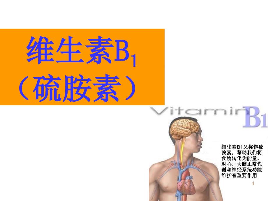 水溶性维生素营养学知识_第4页