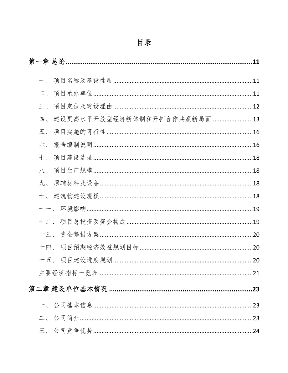 河北吨项目可行性研究报告_第2页