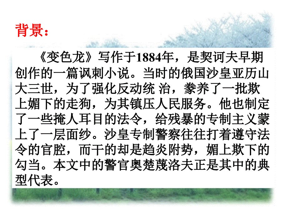 关于变色龙公开课介绍.ppt_第3页