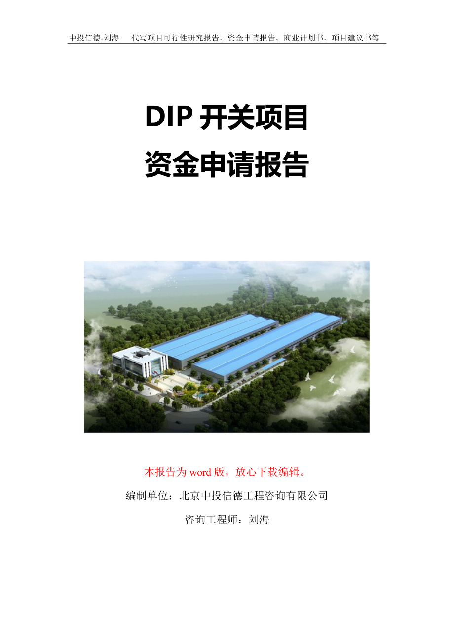 DIP开关项目资金申请报告写作模板定制