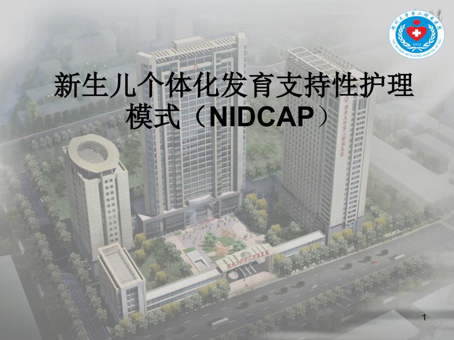 早产儿个体化发育支持护理ppt课件_第1页