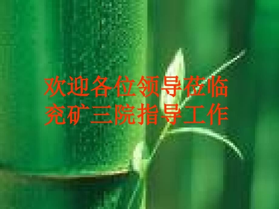 示范病房汇报_第1页