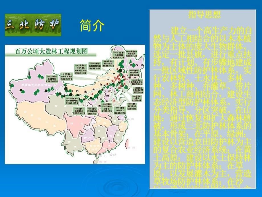 第七章绿色植物与生物圈_第5页