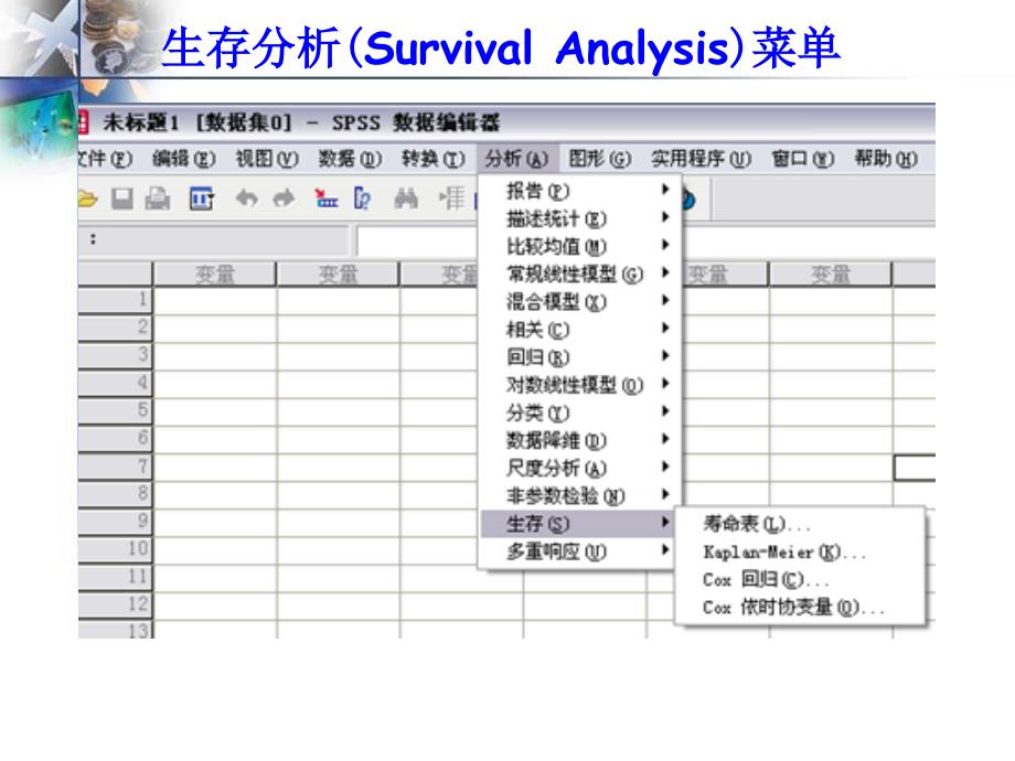 生存分析SPSS_第3页