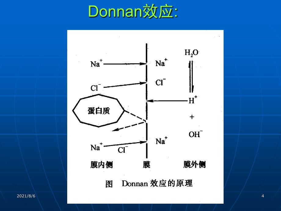 生物大分子的分离纯化技术_第4页