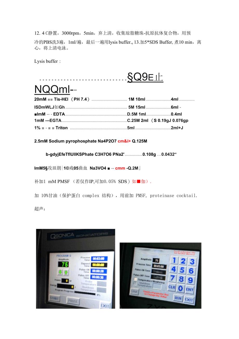 免疫共沉淀实验步骤_第2页