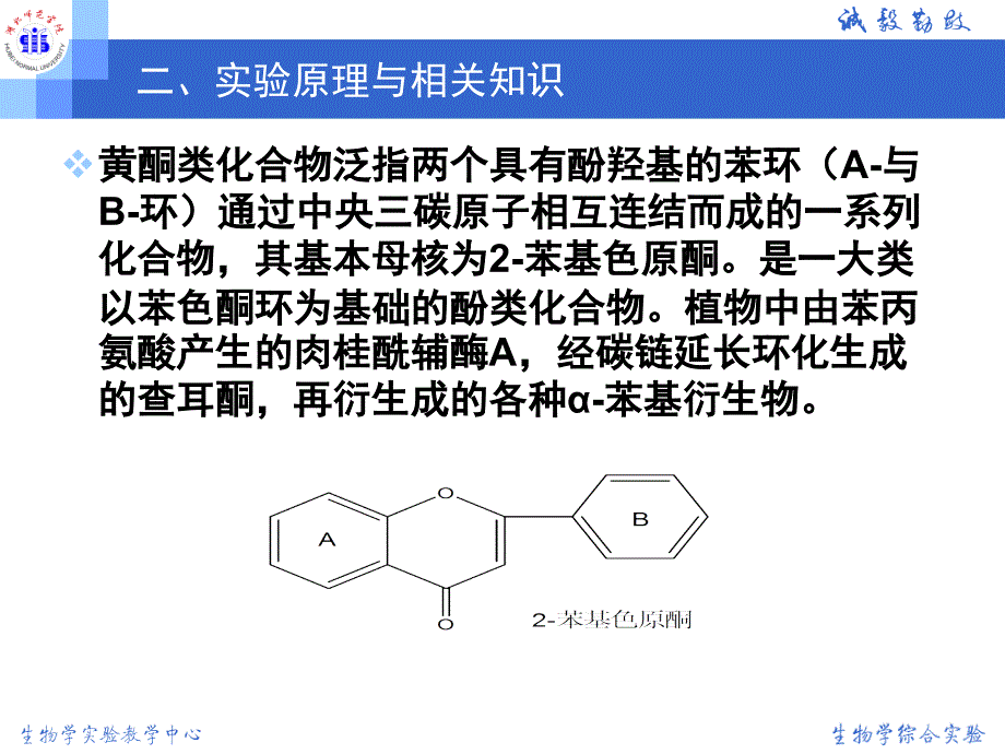 实验项目：黄酮提取(PPT31页)_第3页