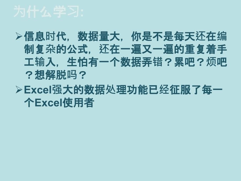 最新-EXCEL高级应用-PPT精品课件_第5页