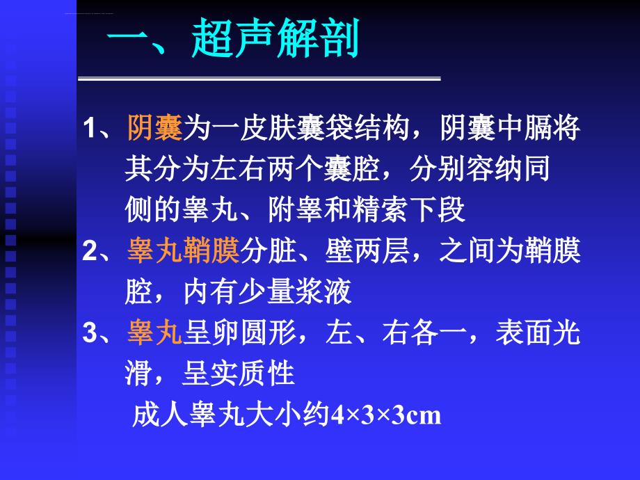 阴囊的超声检查ppt课件_第3页