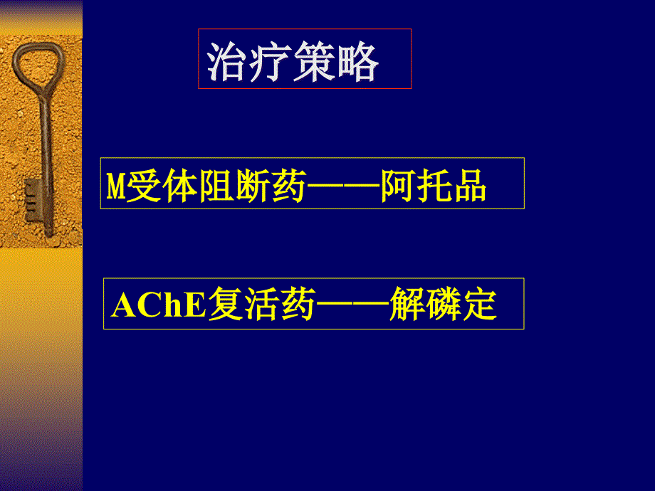 《有机磷中毒实验》PPT课件_第4页