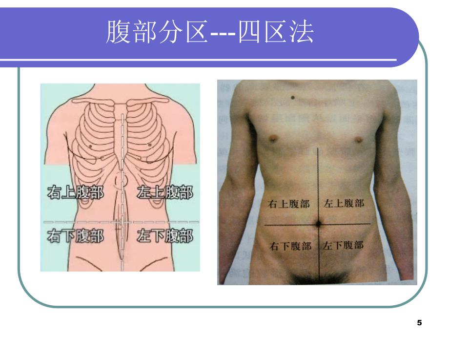 正常腹部查体ppt课件.ppt_第5页