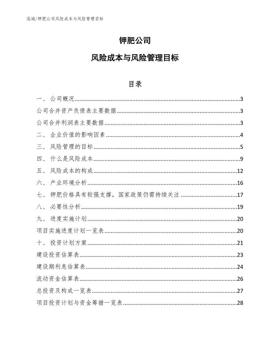 显示驱动芯片公司金融风险分析 (3)_第1页