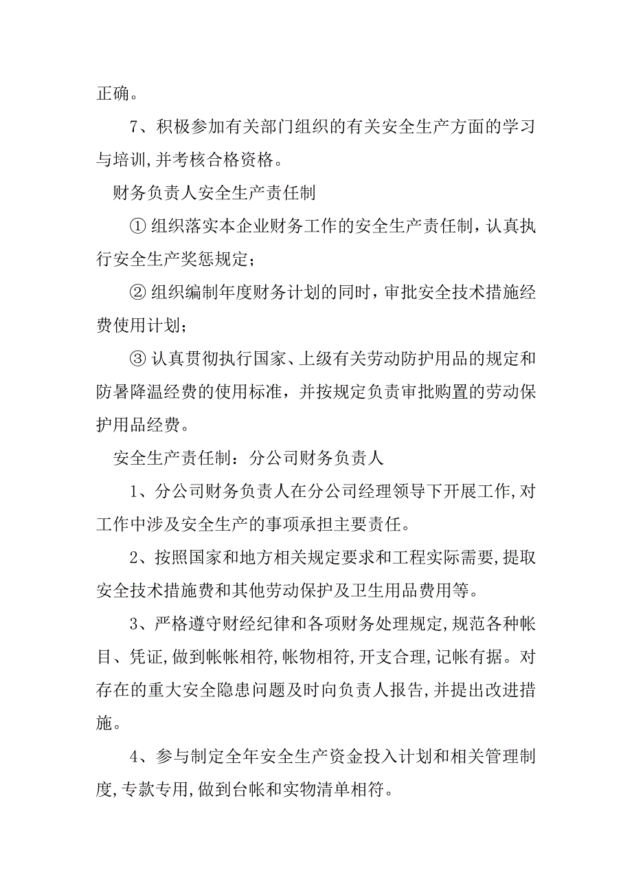 2024年财务负责安全生产责任制5篇_第2页