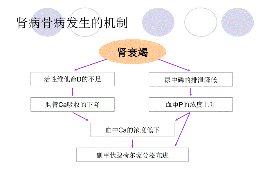 CKDMBD中国中文_第3页