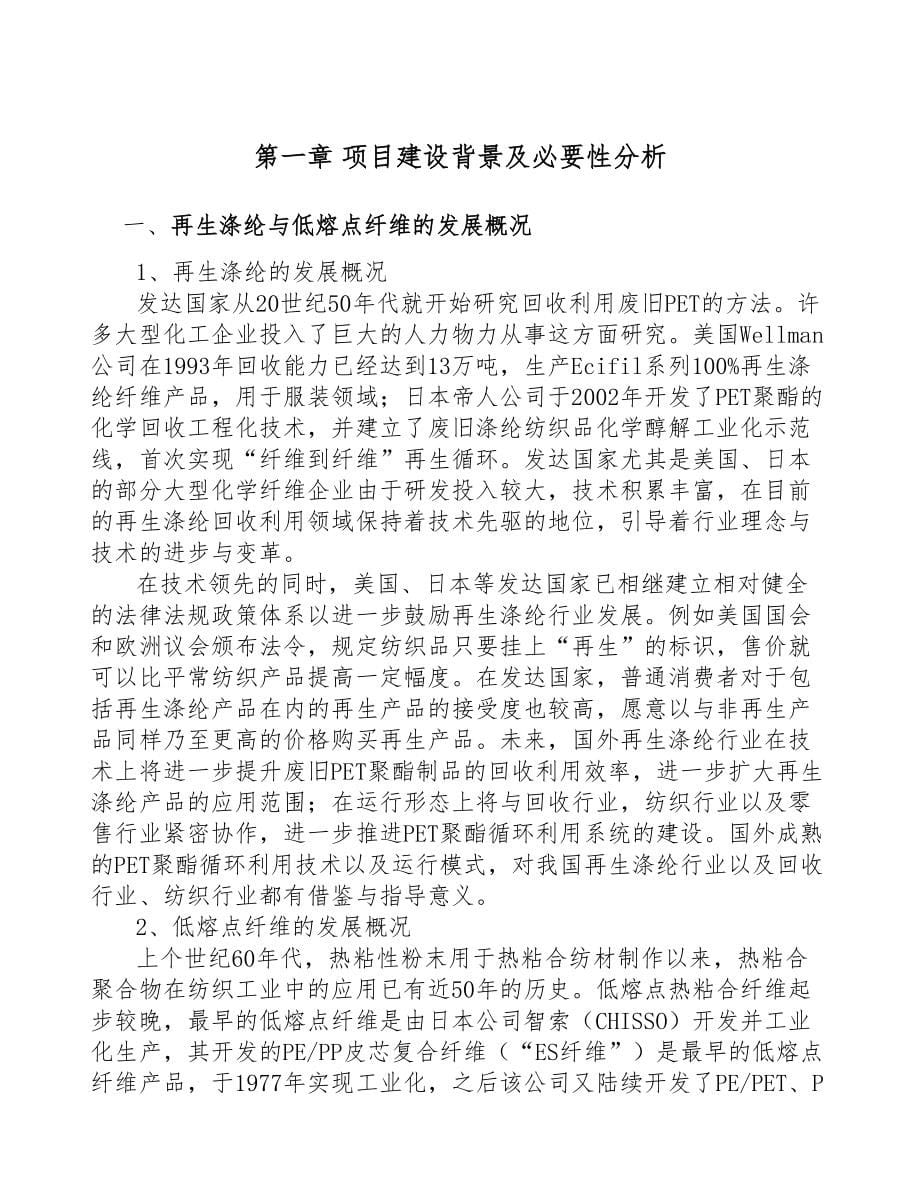 年产xxx吨涤纶纤维项目投资决策报告(DOC 64页)_第5页