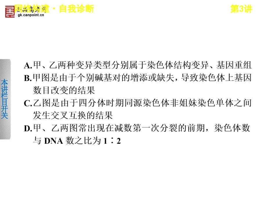 高考生物二轮课件：43变异、育种、进化_第5页