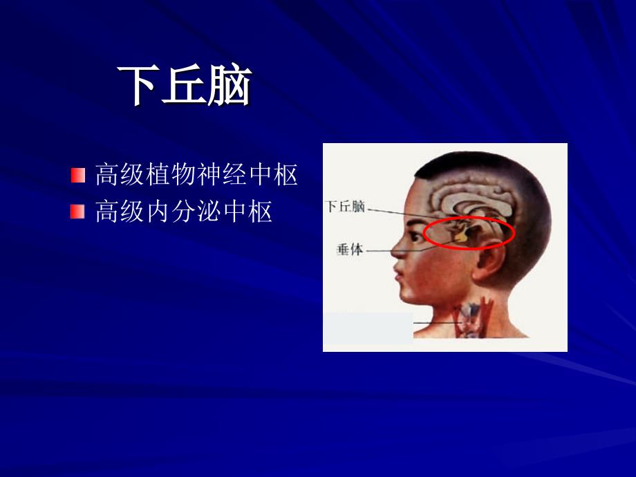 下丘脑综合征（神经内分泌疾病）_第4页