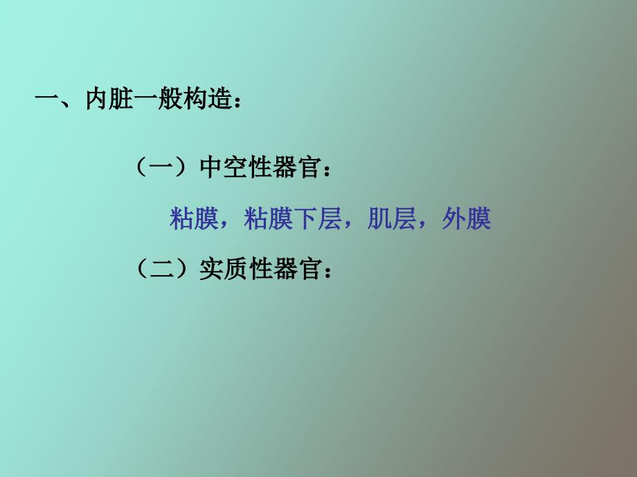 内脏学总论、消化管_第4页