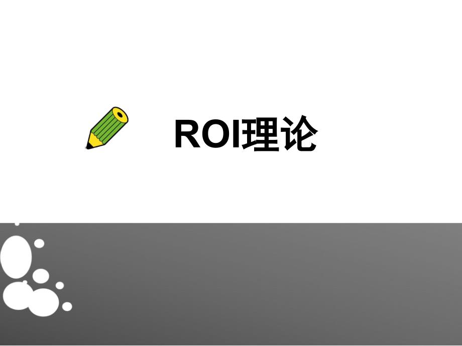 ROI理论幻灯片_第1页