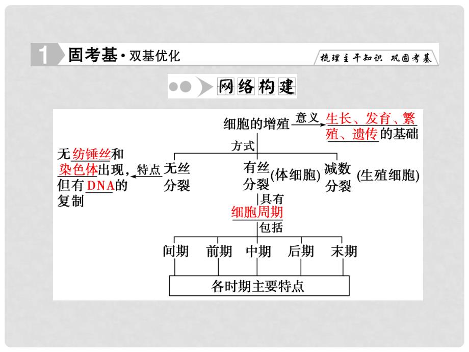 优化探究（新课标）高考生物一轮复习 61细胞的增殖课件 新人教版必修1_第3页