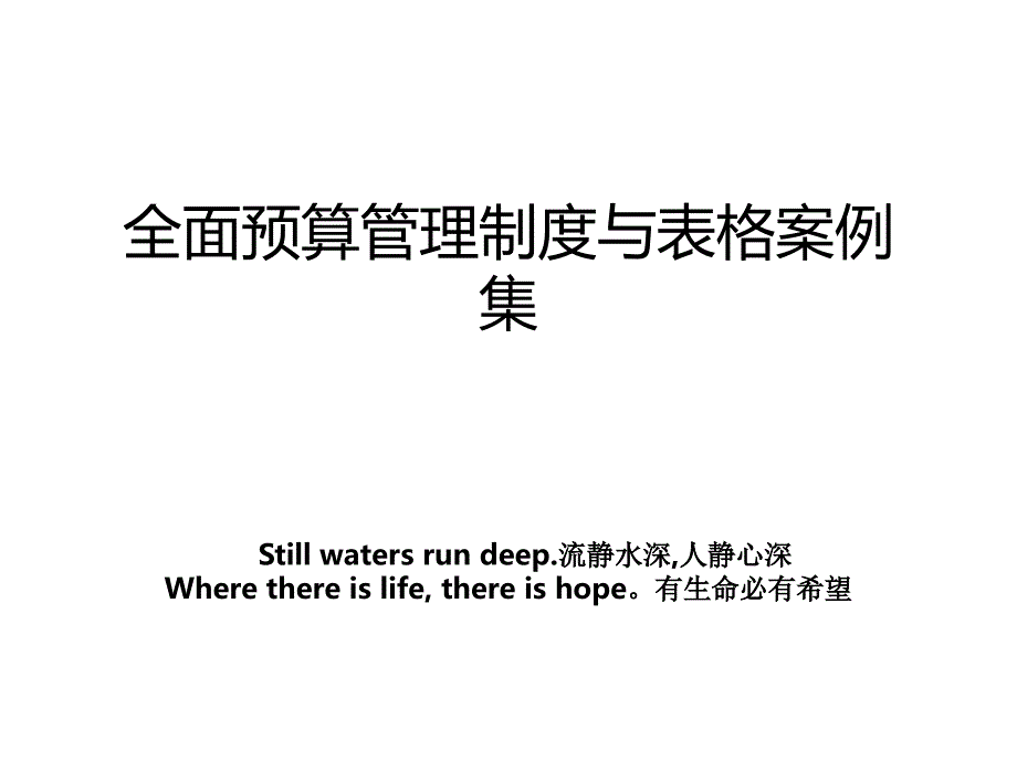 全面预算管理制度与表格案例集教案资料_第1页